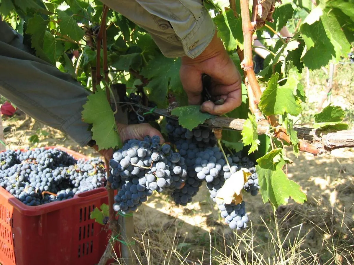 Agriturismo Santo Stefano Polvano 0*,